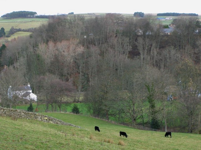 File:Pastures and woodland near Bridge End - geograph.org.uk - 618771.jpg