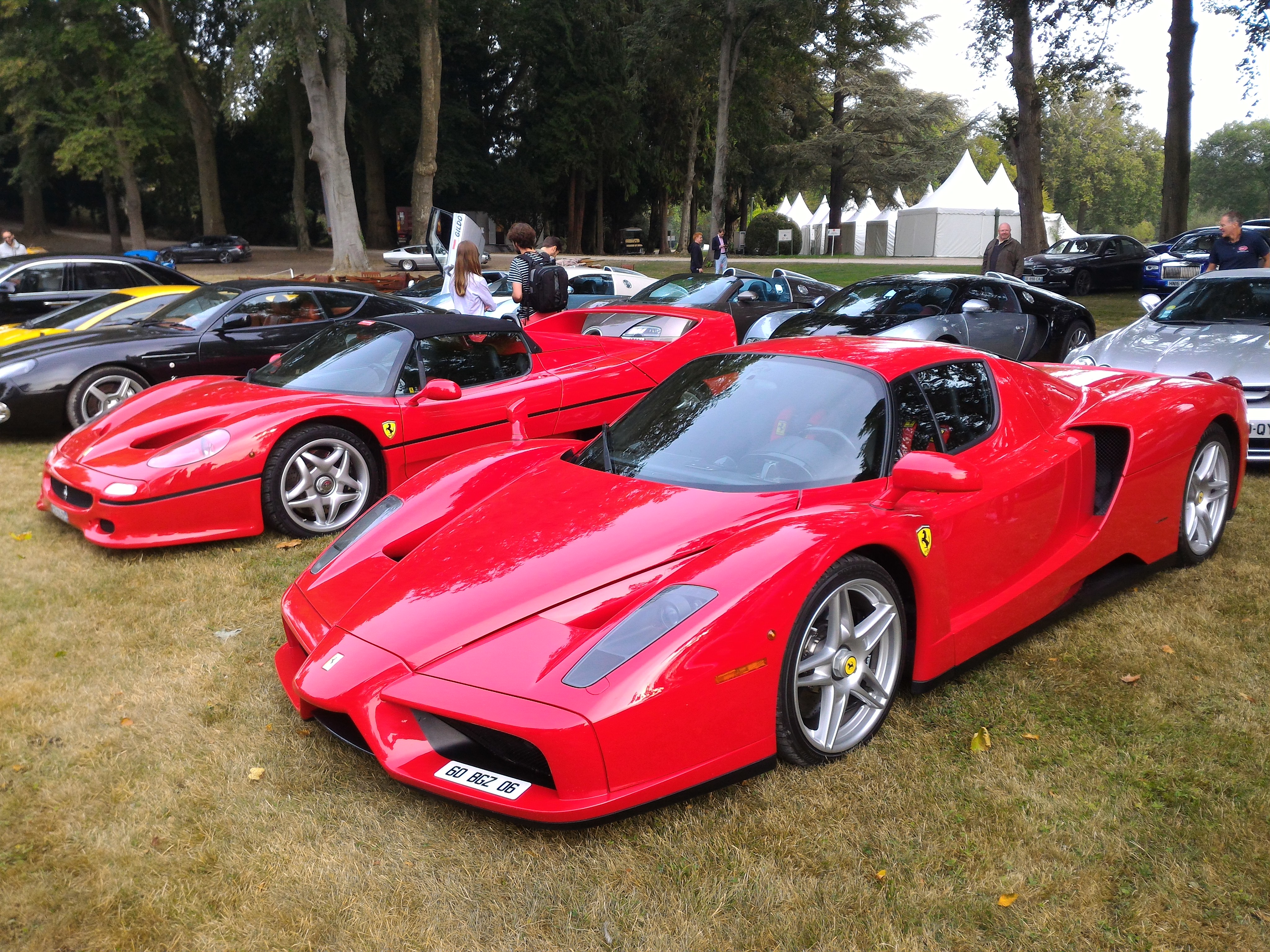 Ferrari Enzo 2016