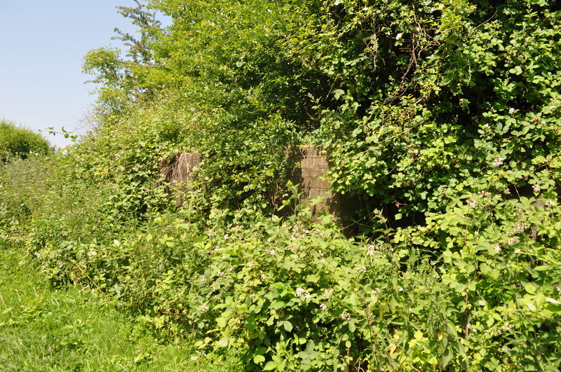 File:Remains of a Railway Bridge - geograph.org.uk - 1934114.jpg