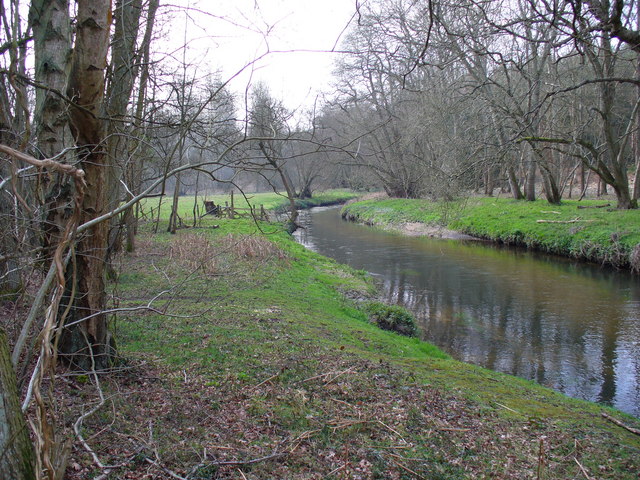 River Wey at Tilford Common - geograph.org.uk - 383106