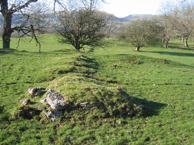 File:Ruined Wall above Bodidris Hall - geograph.org.uk - 327974.jpg