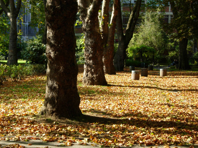 File:St James Gardens, Euston - geograph.org.uk - 1020665.jpg