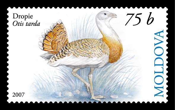 File:Stamp of Moldova 027.jpg