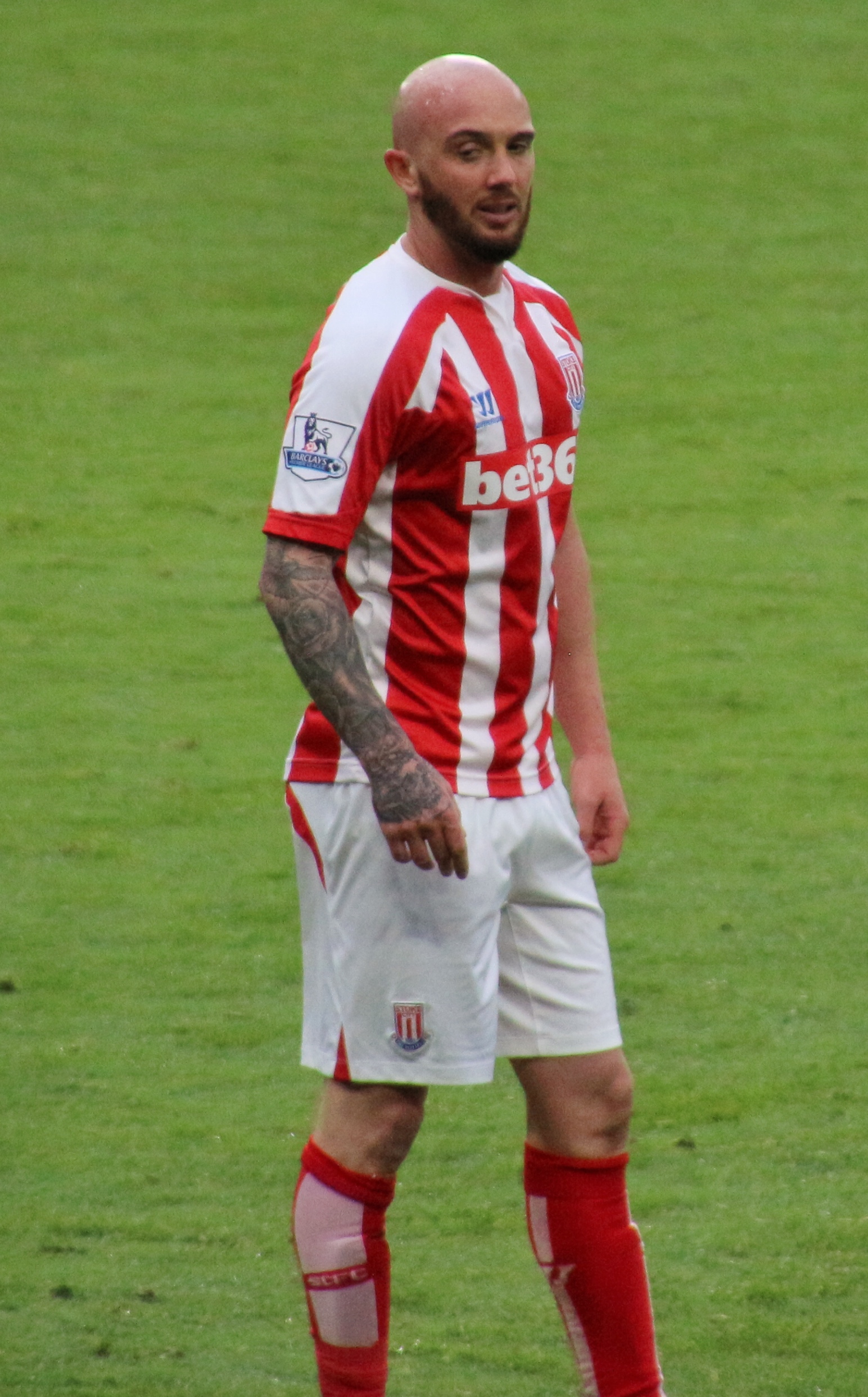 Stephen Ireland - Wikipedia, la enciclopedia libre1544 x 2484