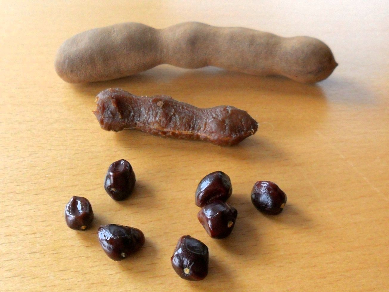 Benefits Uses Of Tamarind Seeds For Skin And Health Stylish Walks