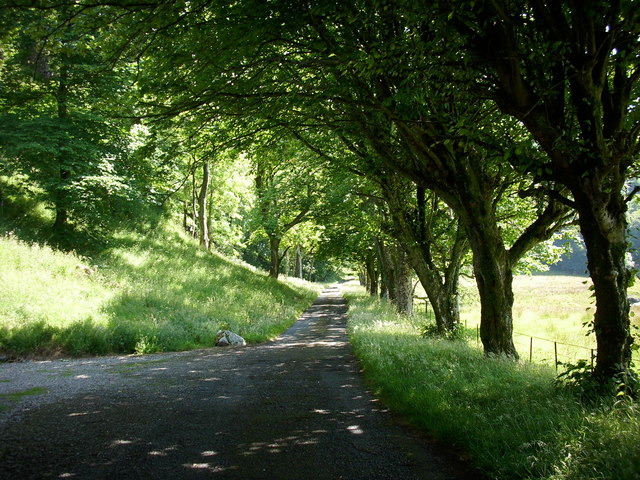 File:The driveway to Gallanach House - geograph.org.uk - 873807.jpg