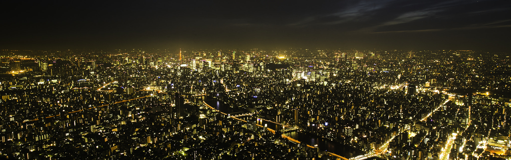 Tokyo Night (109220115)