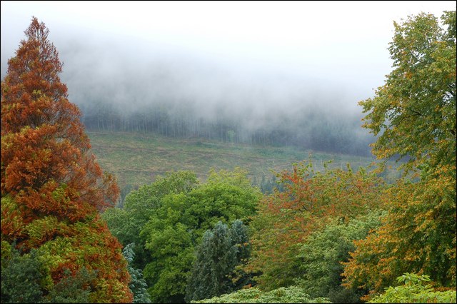 Tollymore forest park near Newcastle - geograph.org.uk - 569094