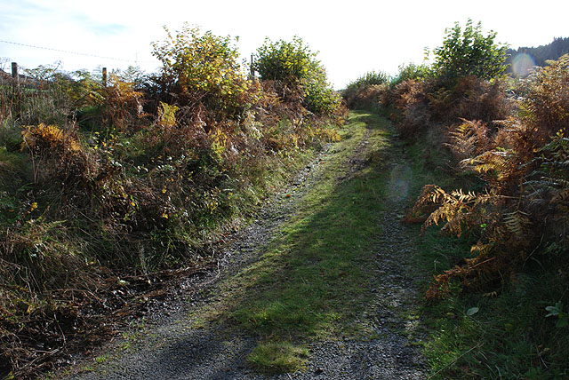 File:Track heading for Bwlch Goriwared - geograph.org.uk - 1555561.jpg