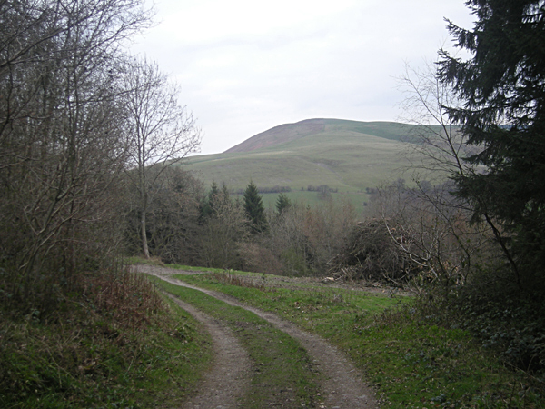 File:'Shropshire Way' through Plowden Woods - geograph.org.uk - 1232263.jpg