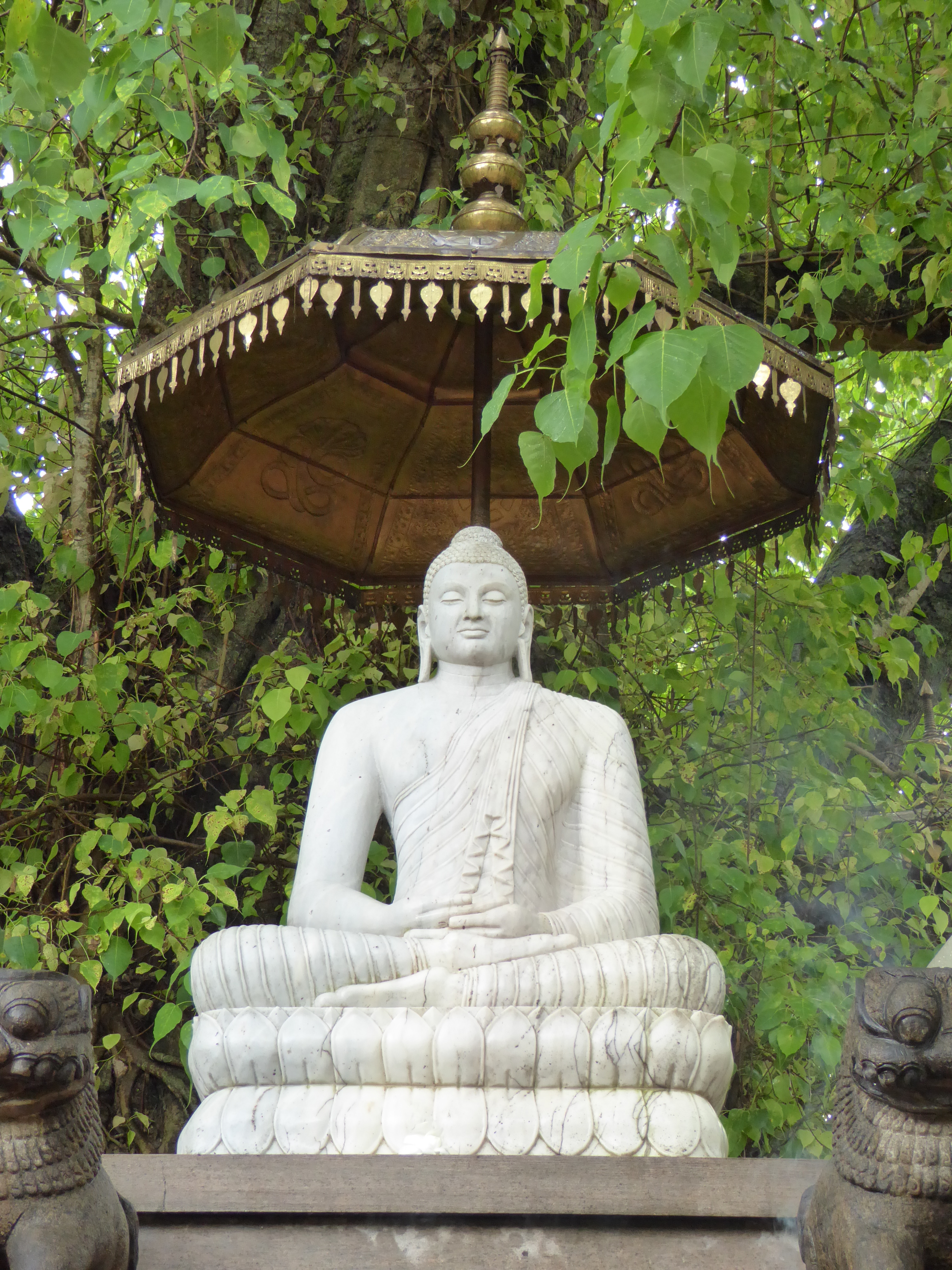 016 Buddha Statue and Bodhi Leaves %2820257388959%29