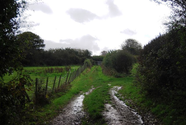 File:1066 Country Walk south of the dismantled railway - geograph.org.uk - 1578289.jpg