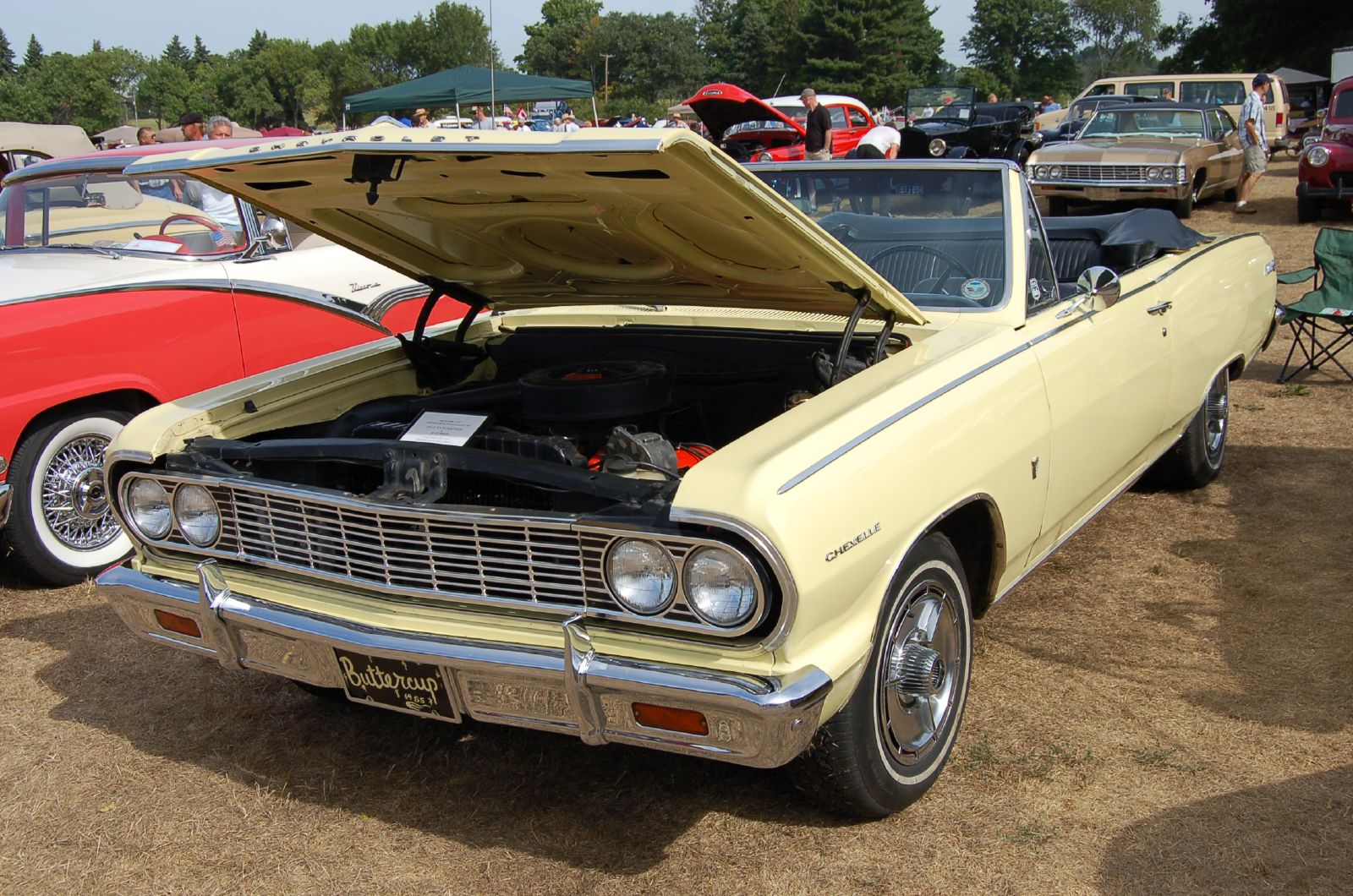 Chevelle 1964 and girls