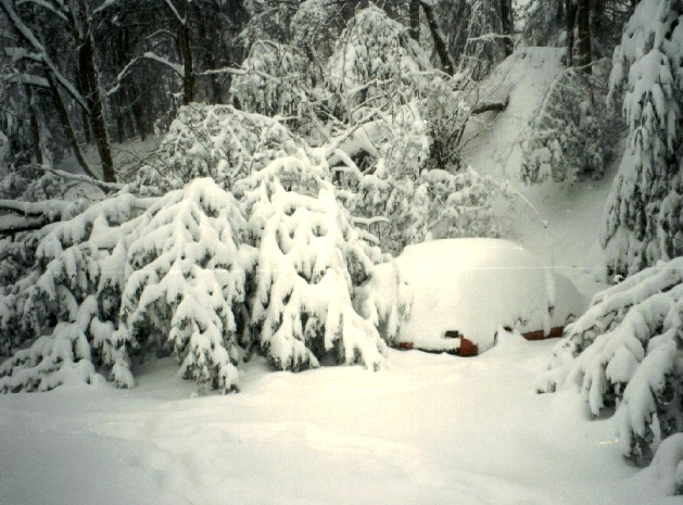 1993_Storm_of_the_Century_Asheville,_North_Carolina_snowfall.jpg (629×465)