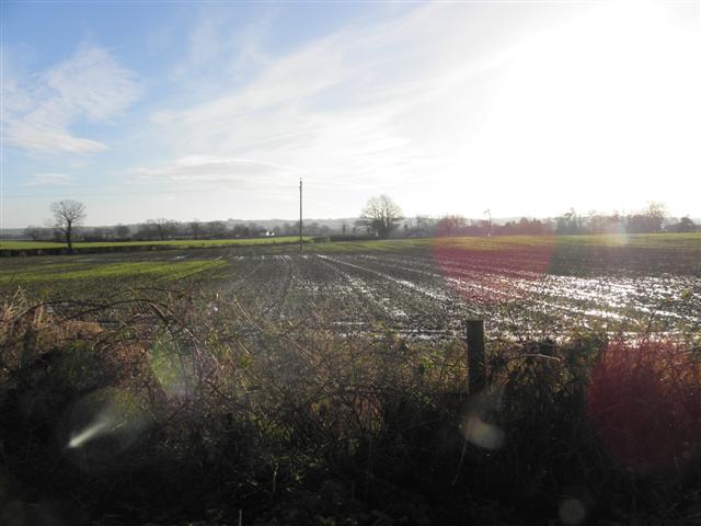 File:A ploughed field, Inisloughlin - geograph.org.uk - 3272381.jpg
