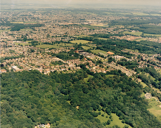File:Aerial view of Thundersley Glen and Thundersley - geograph.org.uk - 1574042.jpg