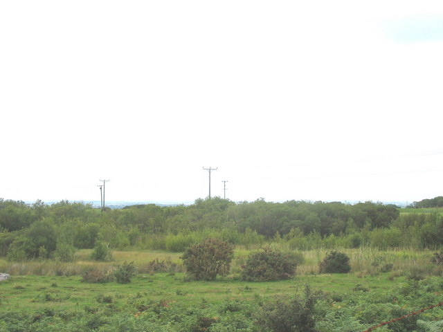 File:An Infilled Kettle Lake at Prysgol - geograph.org.uk - 231059.jpg