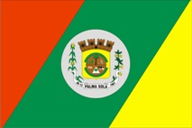 File:Bandeira do município de Palma Sola - SC.jpg