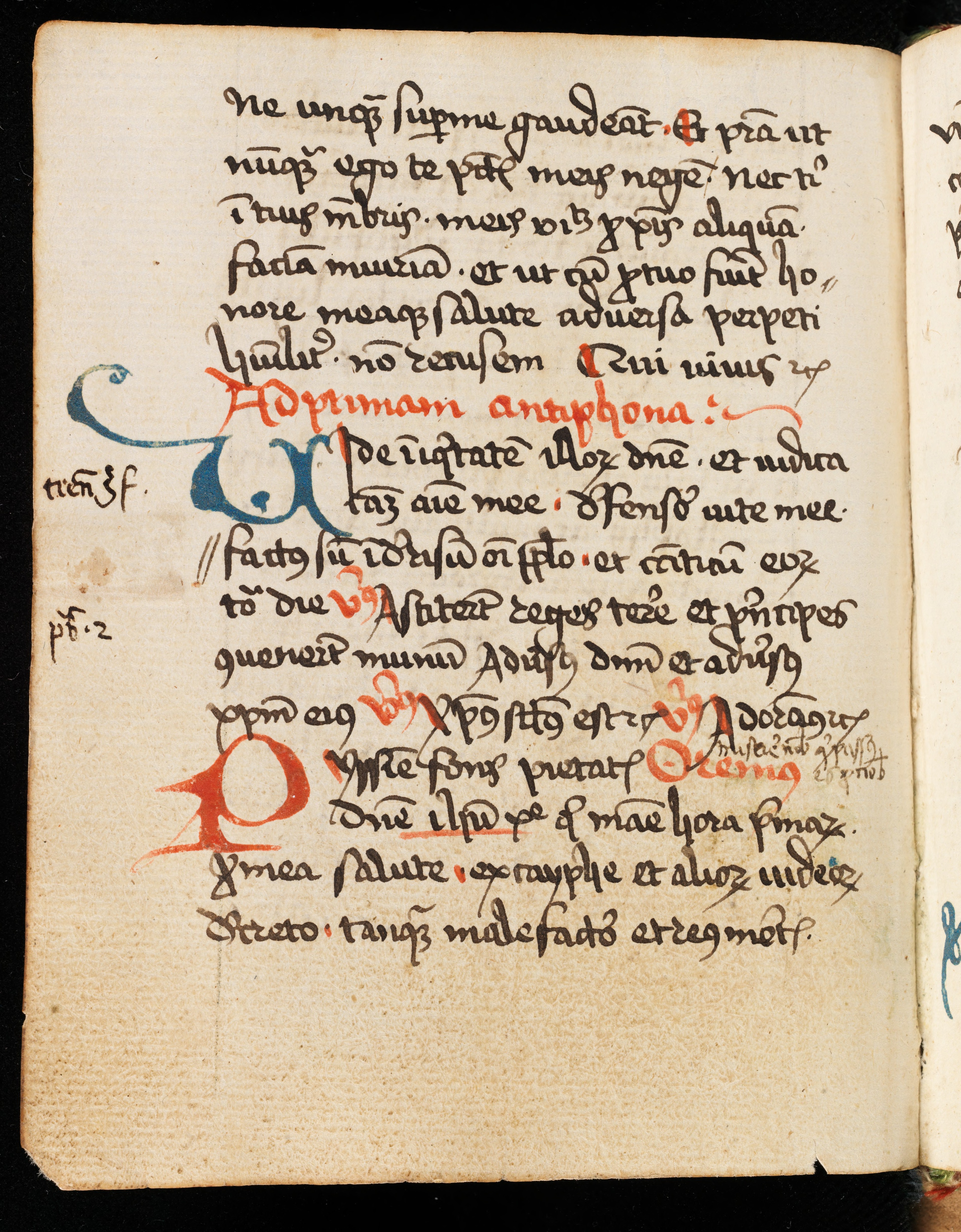 Shah kulstof stimulere File:Basel, Universitätsbibliothek, A VII 68, f. 131v – Cursus beatissimae  virginis Mariae secundum ordinem Carthusiensem et aliae orationes.JPG -  Wikimedia Commons