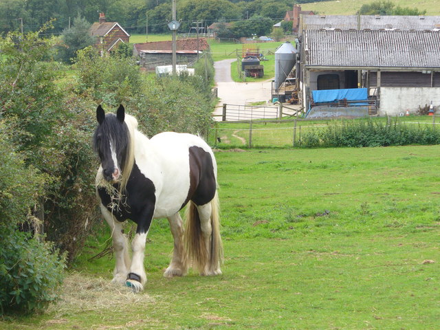 File:By Cattle Manger - geograph.org.uk - 928413.jpg