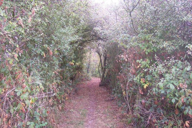 File:Byway to Amery Court - geograph.org.uk - 1520994.jpg