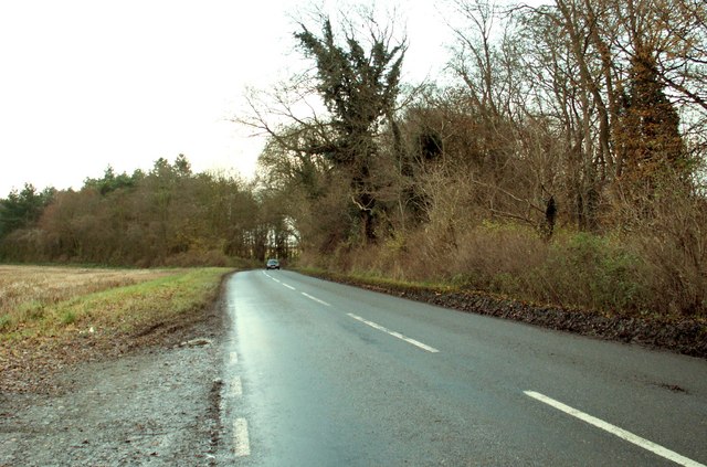 File:Camps Road - geograph.org.uk - 290064.jpg