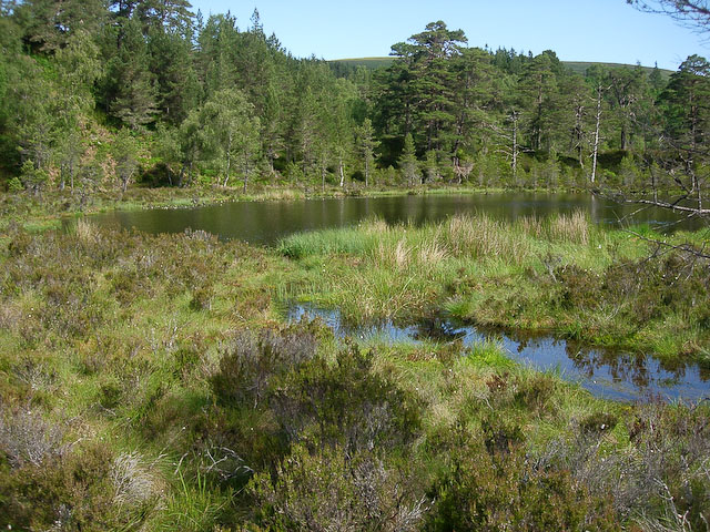 Coire Loch - geograph.org.uk - 1088505