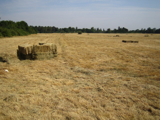 Cranford Park - geograph.org.uk - 207177