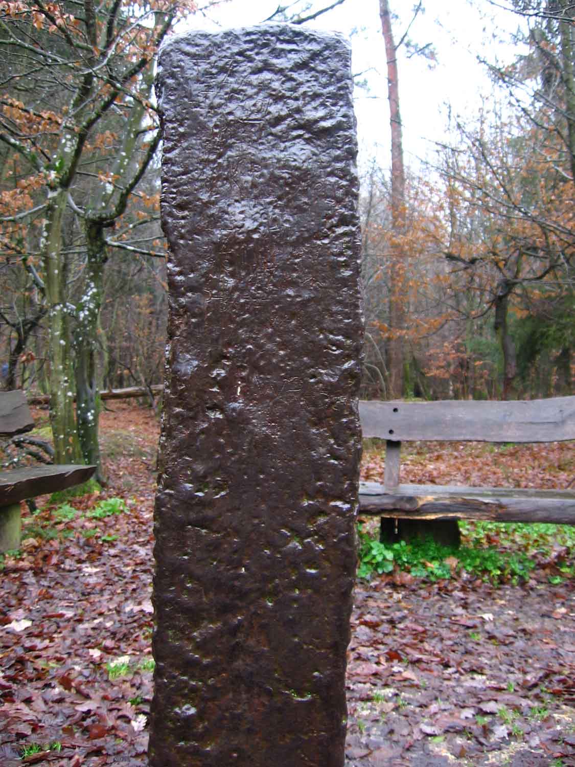 Der Eiserne Mann (Iron Mann) located in Kottenforst-Ville nature reserve Germany. Taken by Chris Wal...