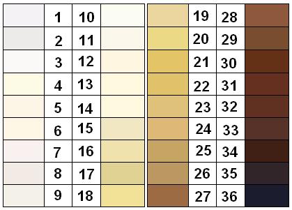 File:Felix von Luschan Skin Color Chart.JPG