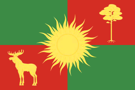 Flag of Zaborinskoe (Perm krai).png