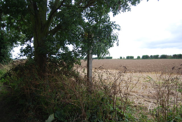 File:Footpath to Claverham Cottages - geograph.org.uk - 3211874.jpg