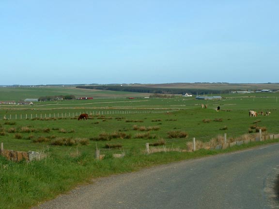 File:Fryster, Durran - geograph.org.uk - 10929.jpg