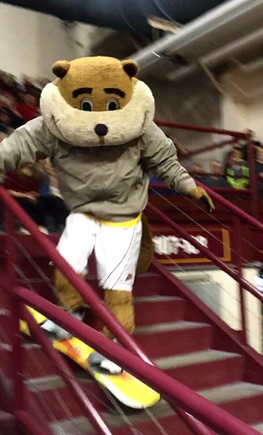 Goldy_Gopher_Volleyball