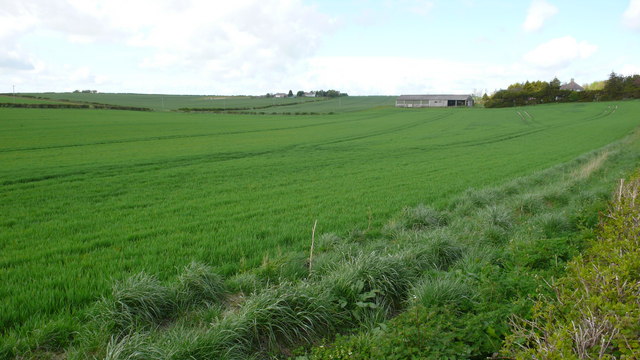 File:Home Farm - geograph.org.uk - 786664.jpg