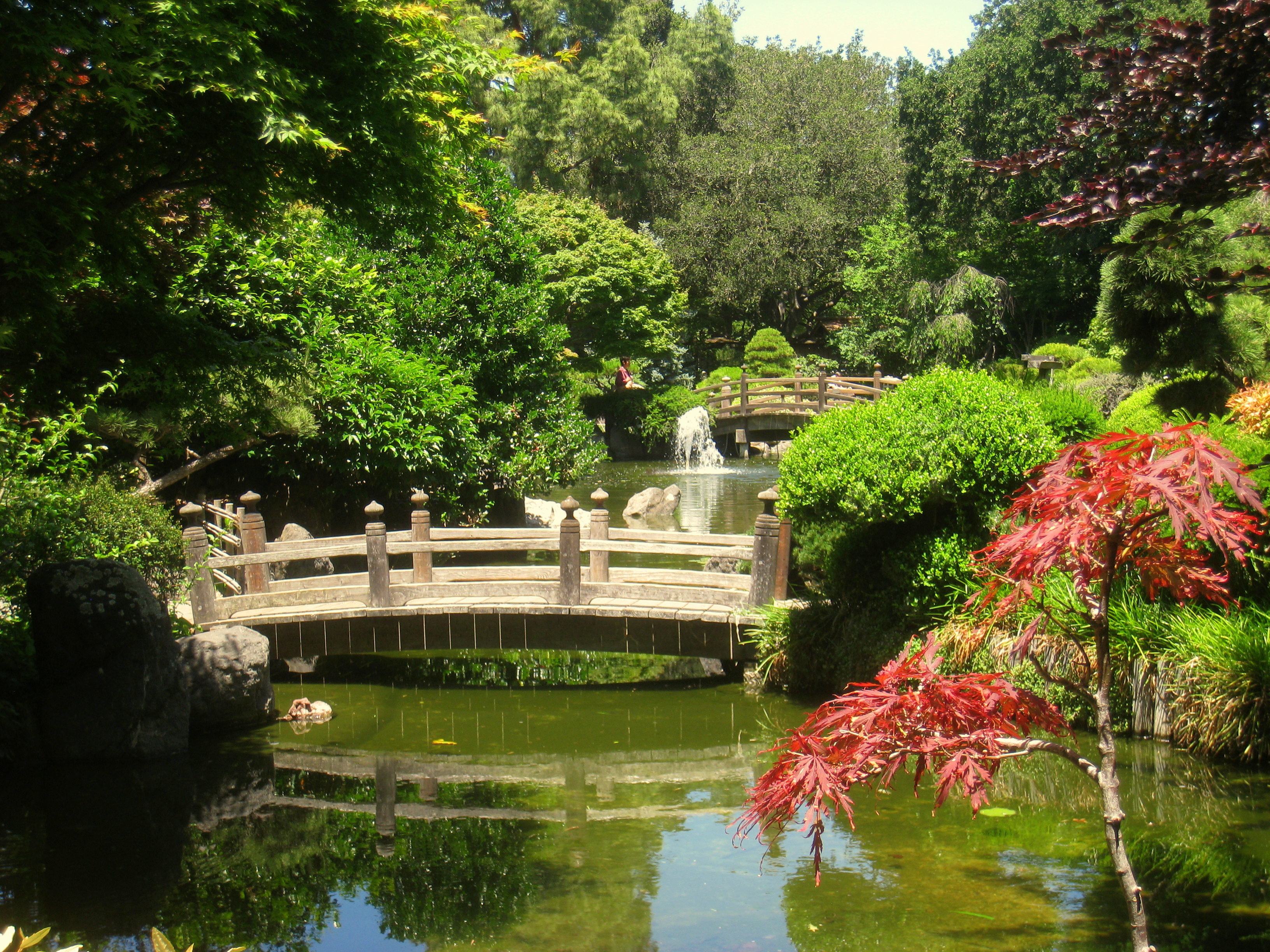File Japanese Tea Garden San Mateo Ca Img 9111 Jpg Wikimedia