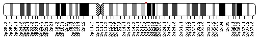 File:LCT gene locus.jpg