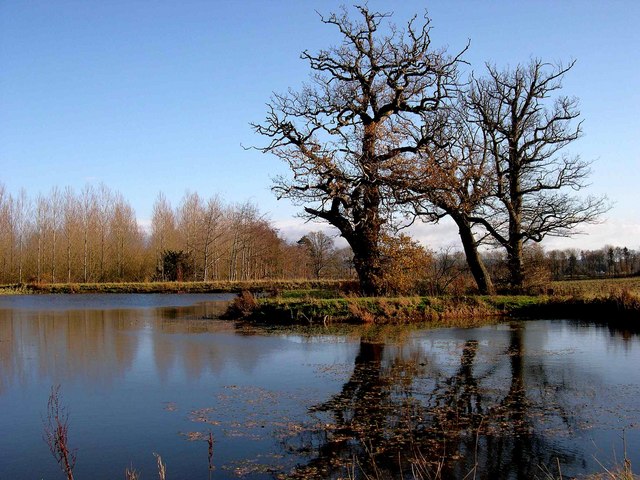 Lake at Garnstone Castle, Weobley - geograph.org.uk - 624886