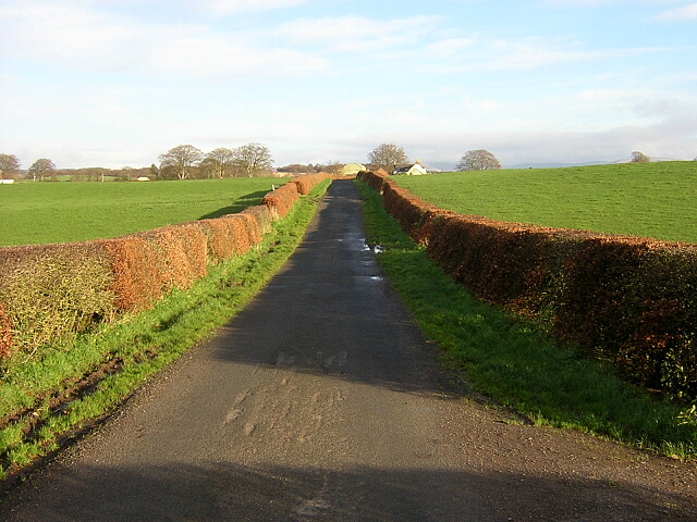 File:Minor Road Near Nethermill - geograph.org.uk - 289437.jpg