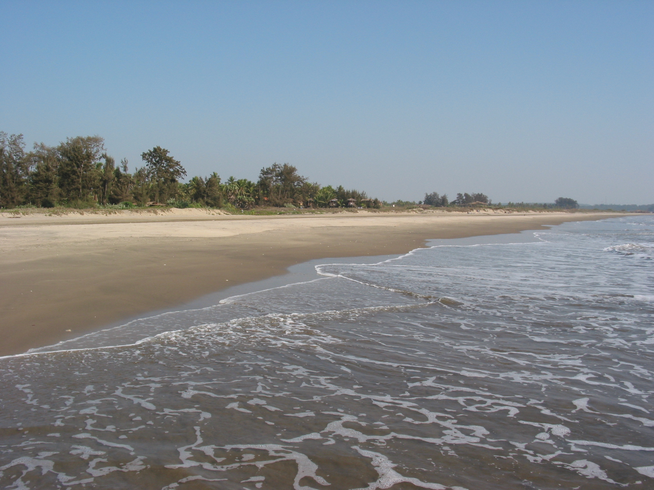 Morjim beach goa