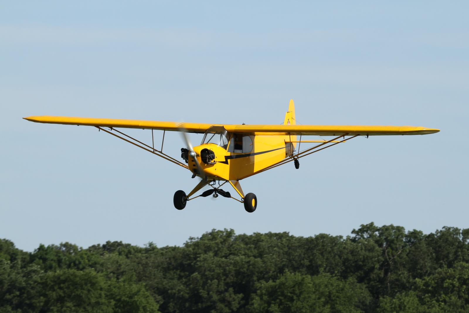 Druif Resultaat Volwassenheid Piper Cub - Wikipedia