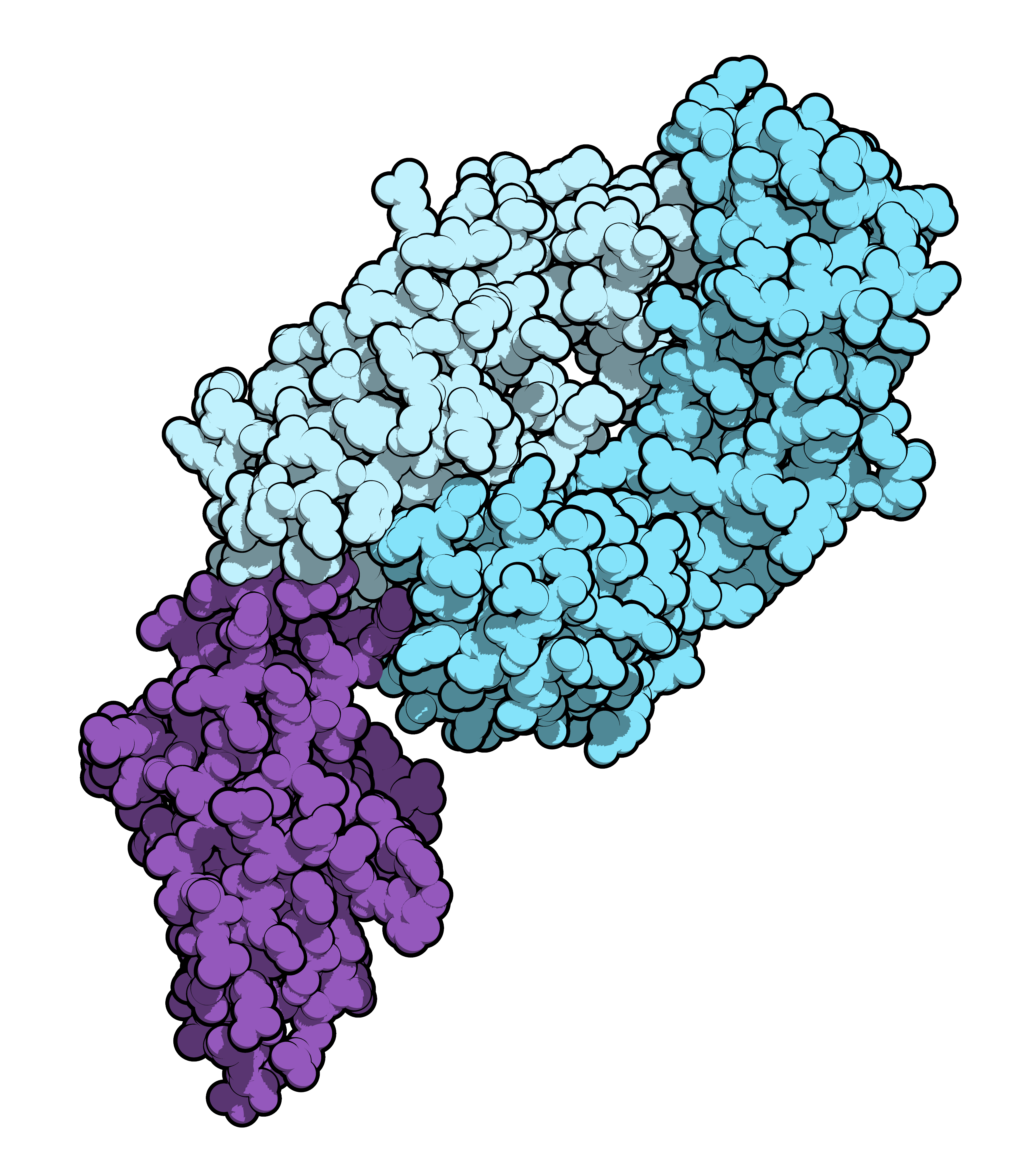 Nivolumab Wikipedia