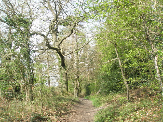 File:Path running adjacent to the old Station - geograph.org.uk - 777924.jpg