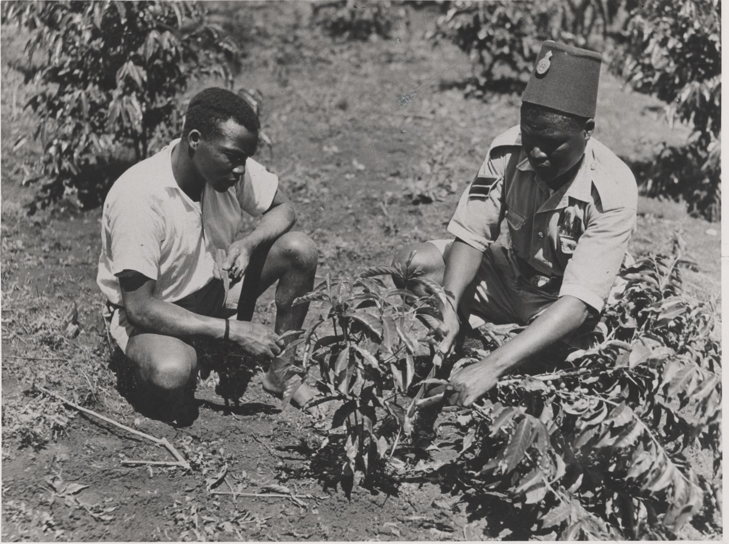 Agriculture Club, Department of Agriculture