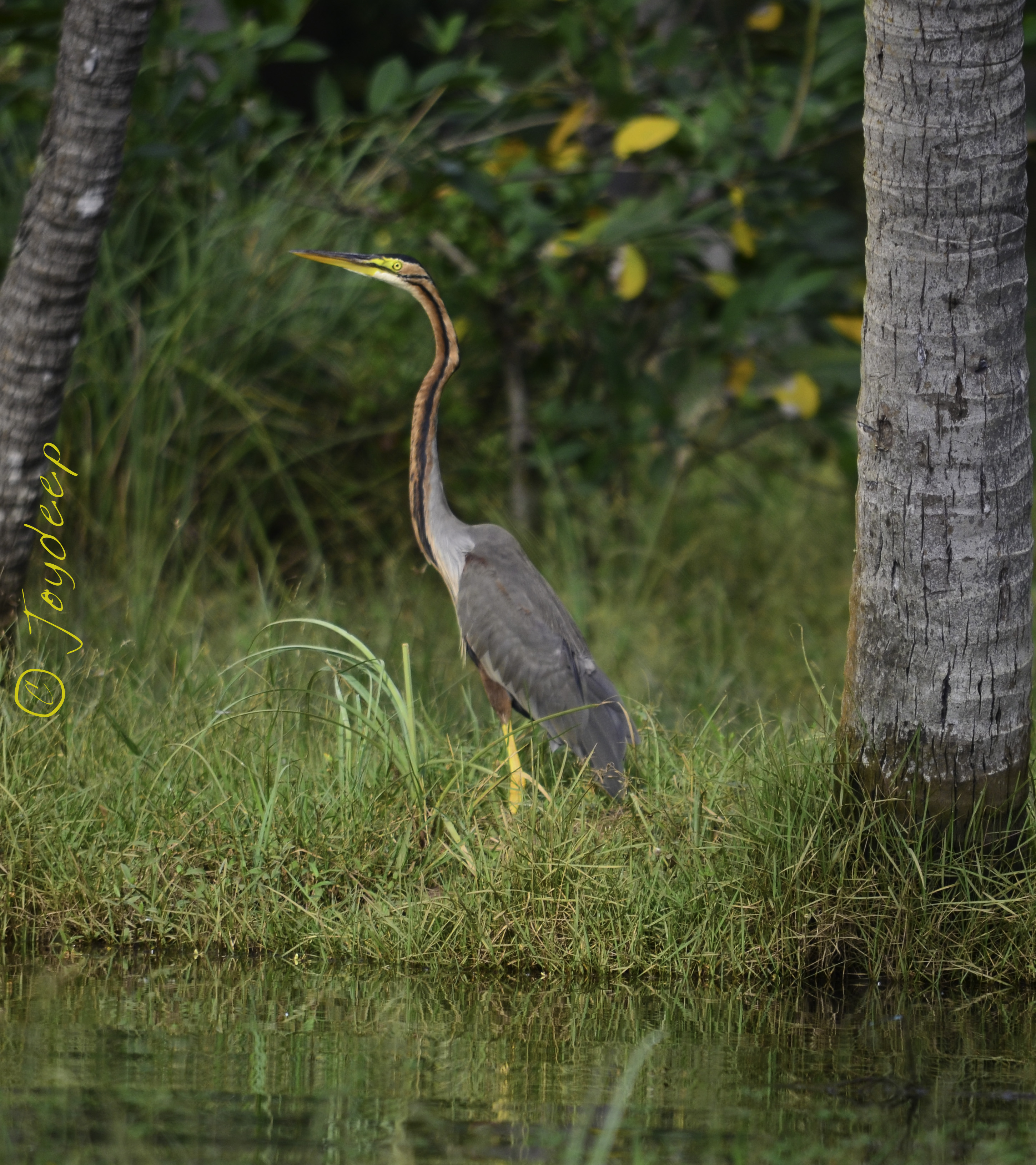 Poovar Island | Blue Bird Travels