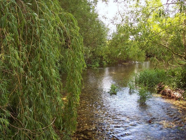 File:River Tarrant looking south at Tarrant Rushton - geograph.org.uk - 452033.jpg