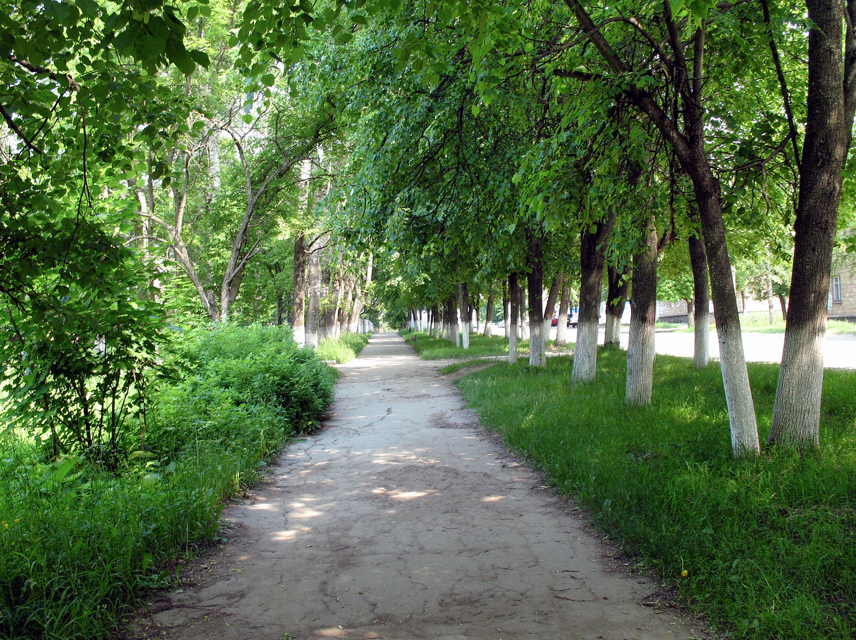 площадь ленина в щекино