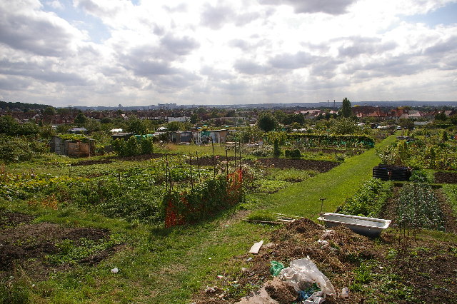 File:Spa Hill Allotments - geograph.org.uk - 57056.jpg