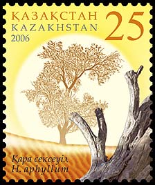 File:Stamp of Kazakhstan 549.jpg