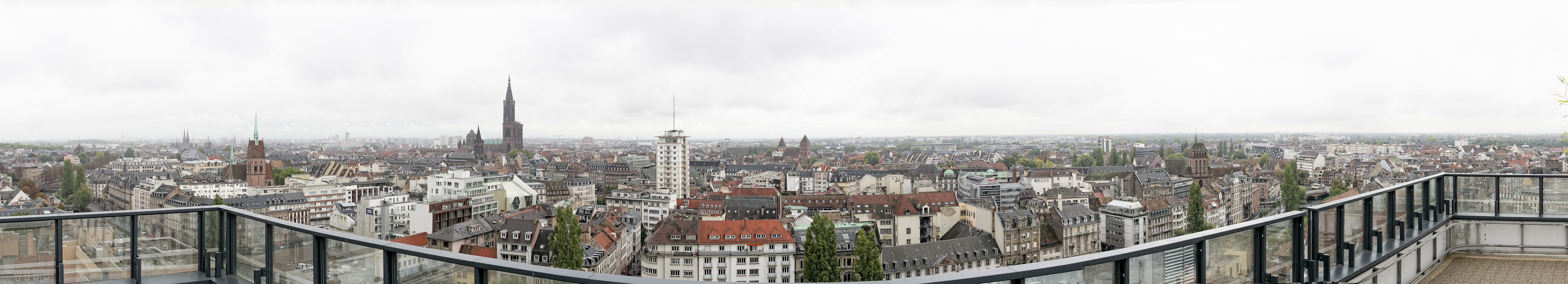 Strasbourg seen from Esca Tower in 2014.jpg